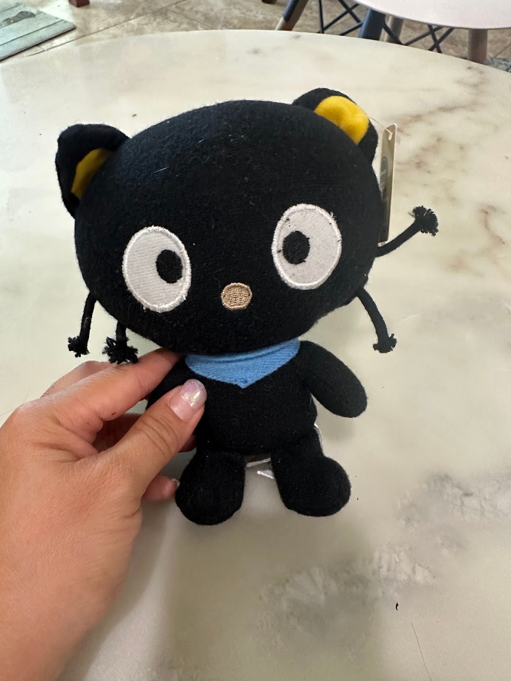 Chococat Plush Stuffed Animal Black Blue Scarf Sanrio